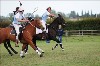 UKPA  NC Sat_1205
